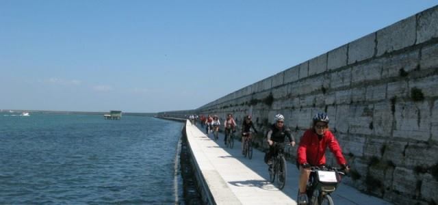 trasporto bici pellestrina